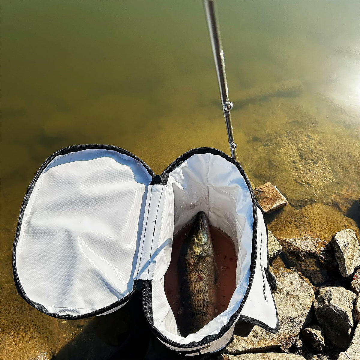 Fish Cooler Backpack (31 qt)