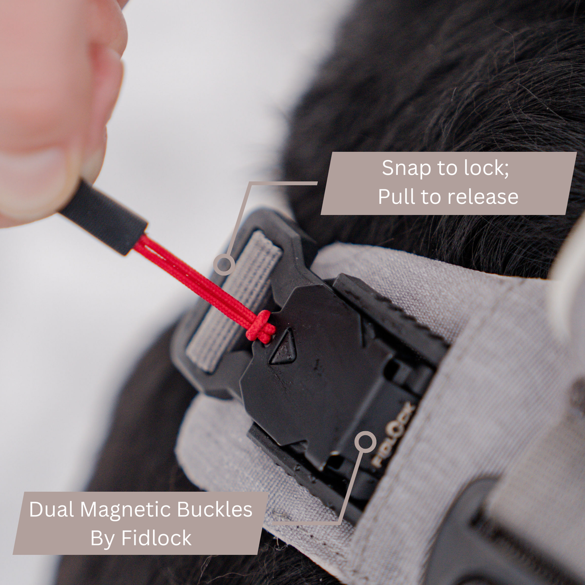 Magnetic No-Pull Dog Harness