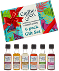Coffee Syrup Sampler Gift Set (6 Flavors)