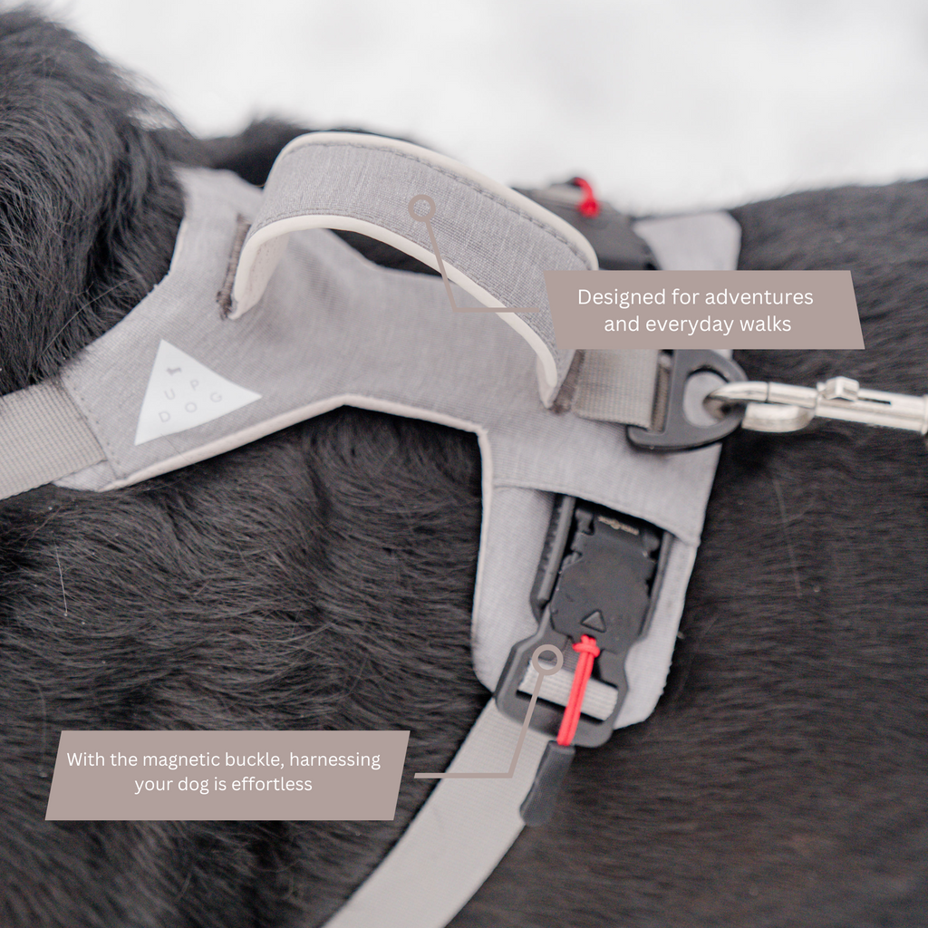 Magnetic No-Pull Dog Harness