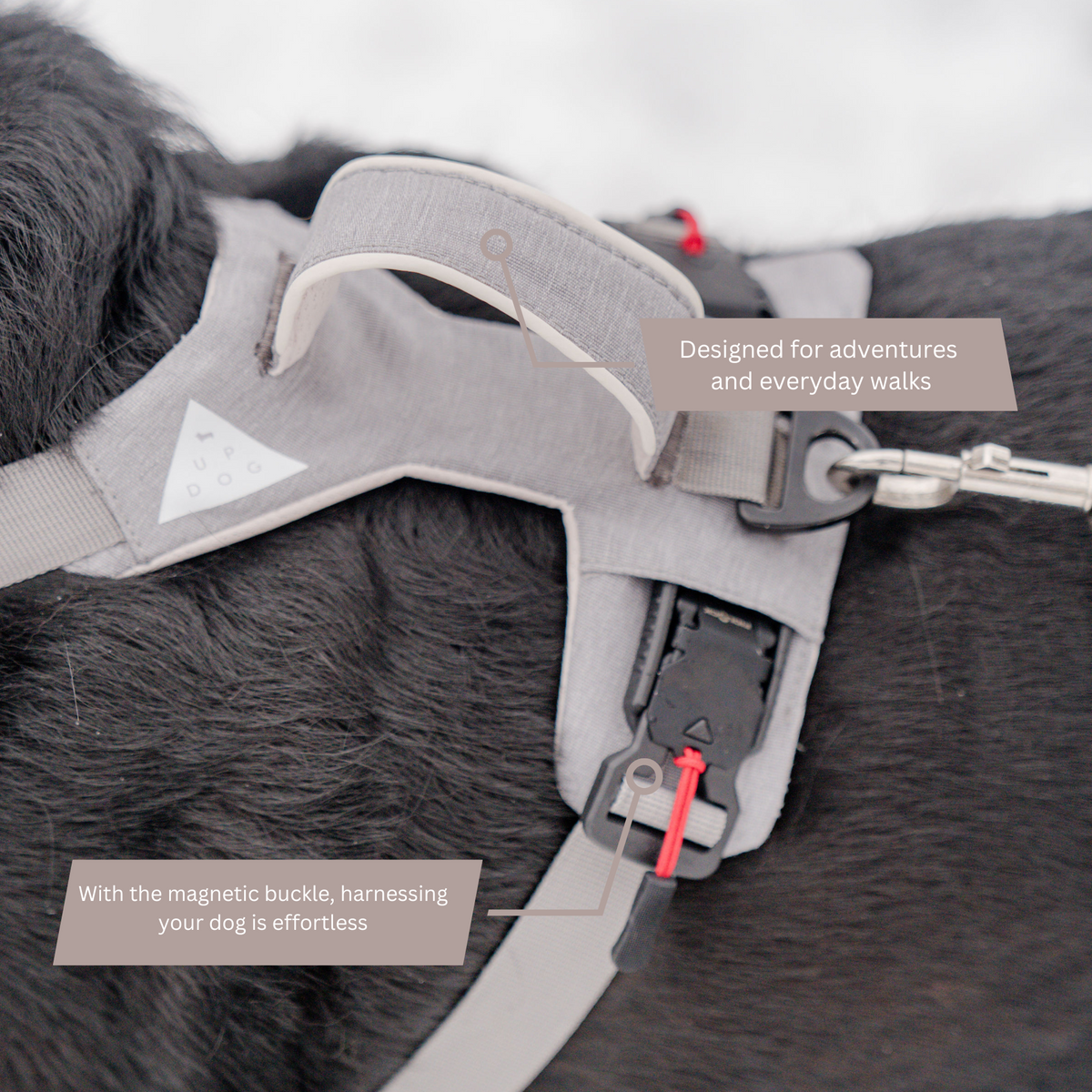 Magnetic No-Pull Dog Harness
