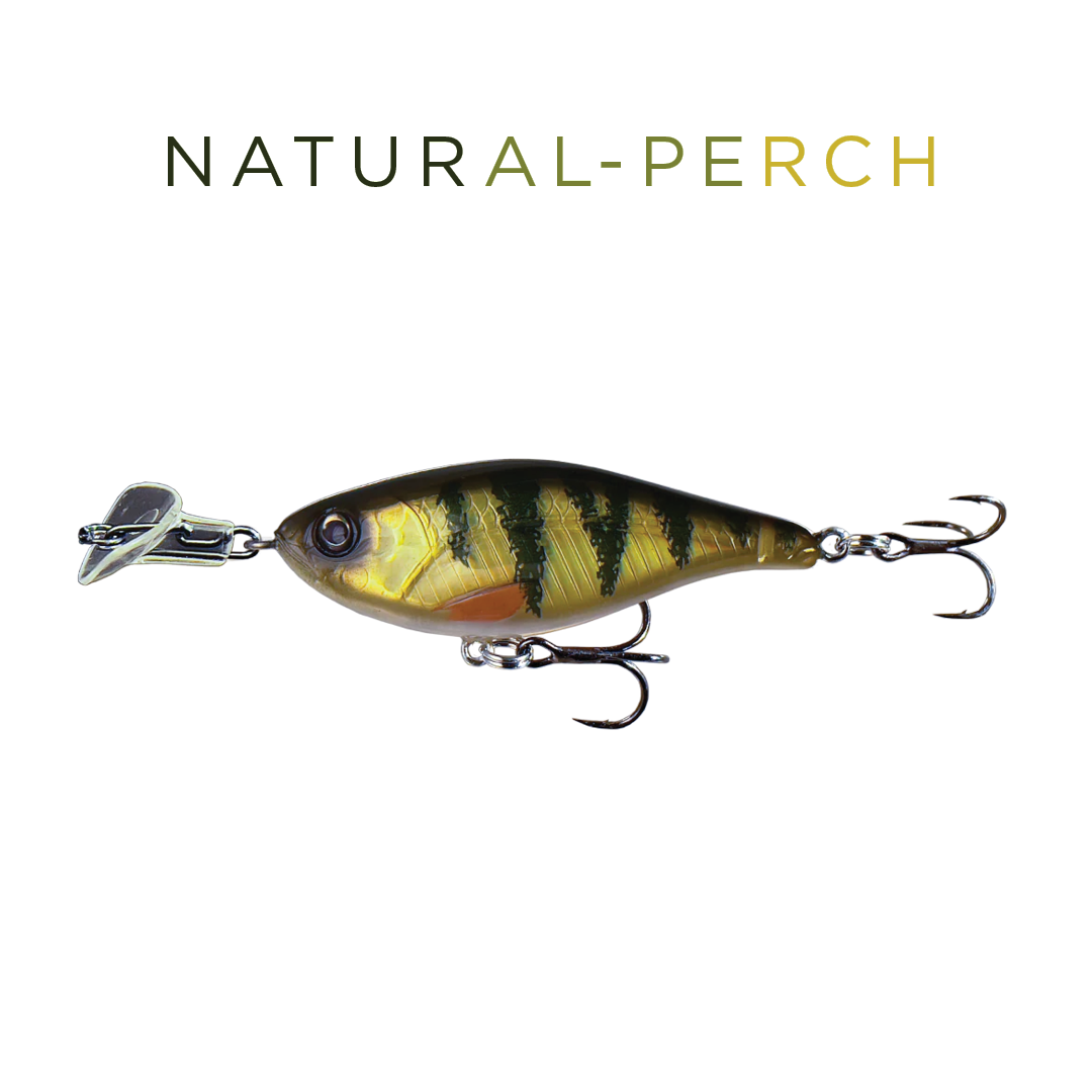 Headbanger Cranky Shad Lure (4")