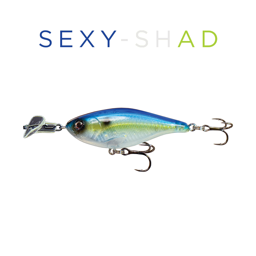 Headbanger Cranky Shad Lure (4")