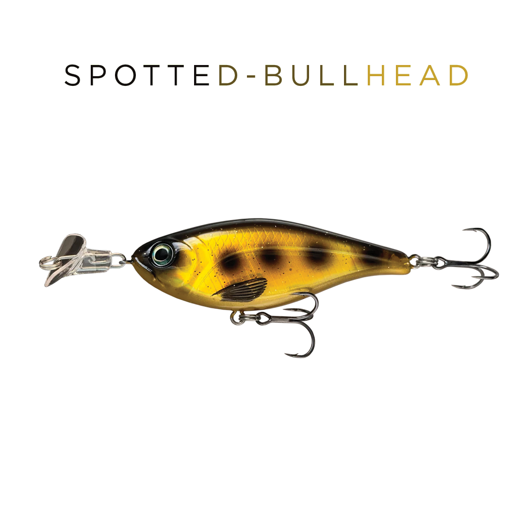 Headbanger Cranky Shad Lure (4")