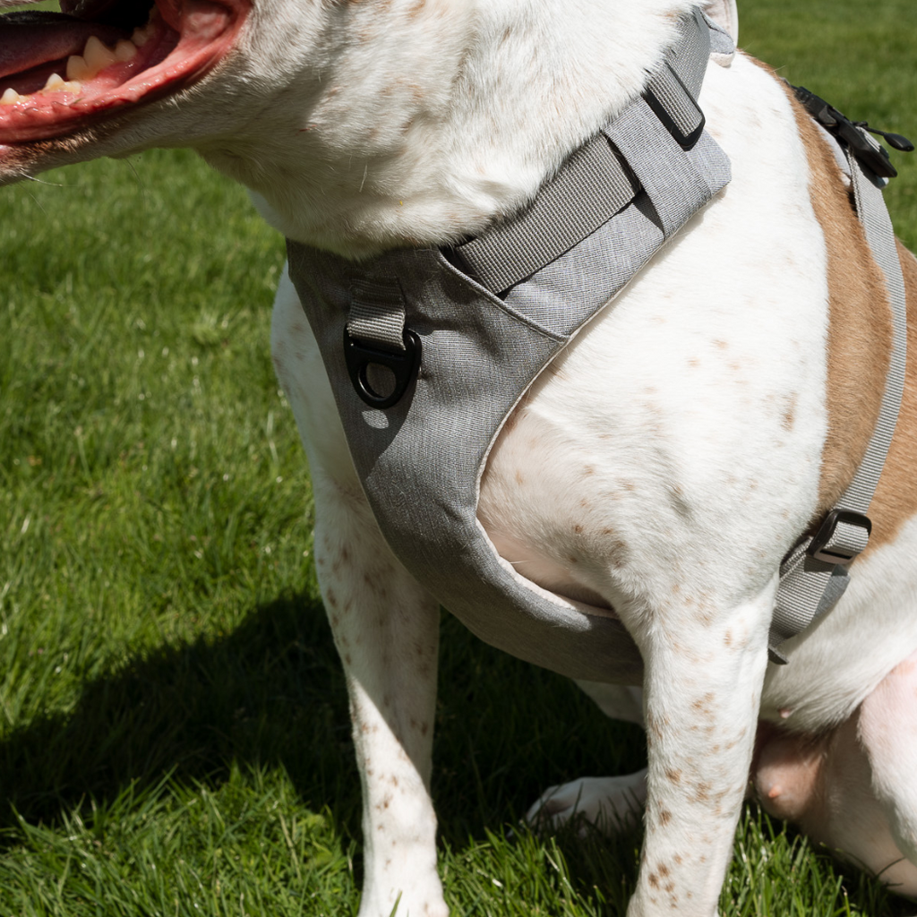 Magnetic No-Pull Dog Harness