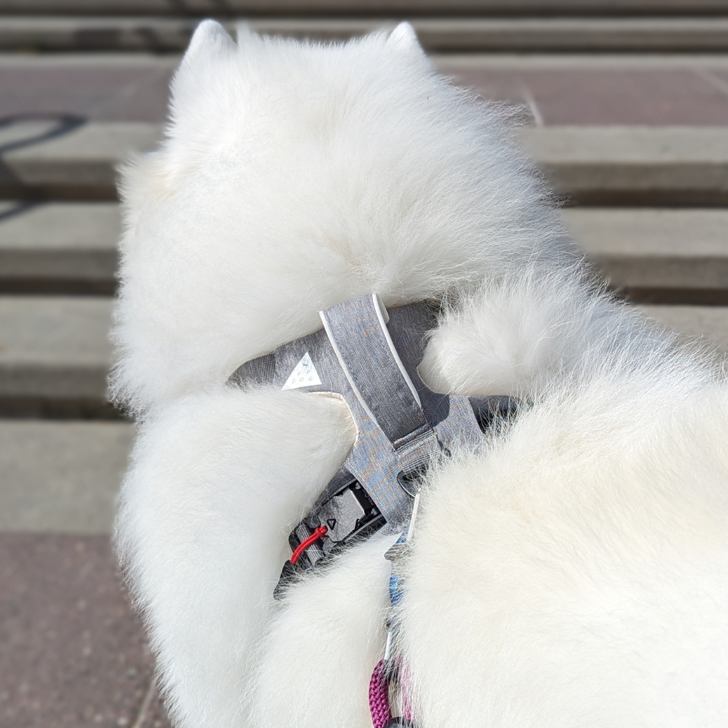Magnetic No-Pull Dog Harness