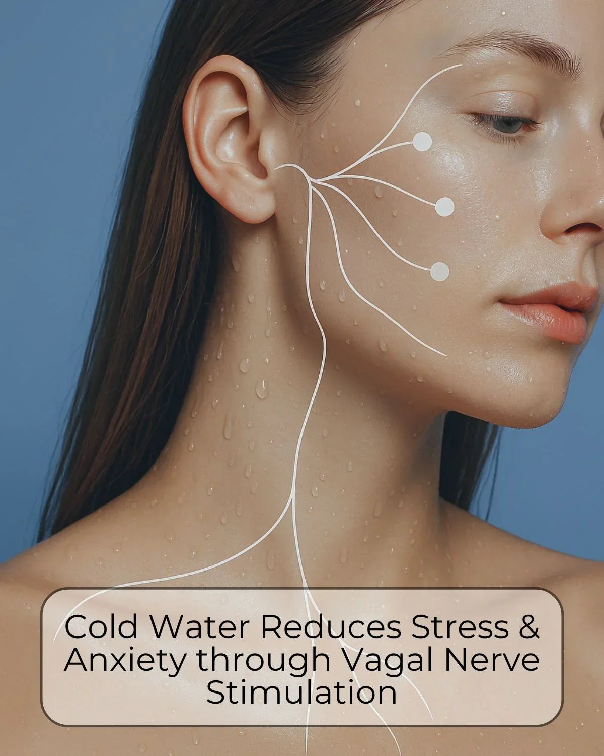 Face Ice Bath Bowl